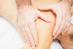 FISIOTERAPIA MANUAL